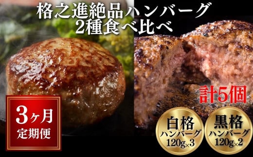 【定期便/3ヶ月】《格之進》絶品ハンバーグ【白格・黒格】食べ比べセット(120g)計5個×3回お届け プレミアム お弁当 個包装 お惣菜 小分け 子供 簡単調理 肉 岩手 一関 贈り物 ギフト お取り寄せ 冷凍 人気