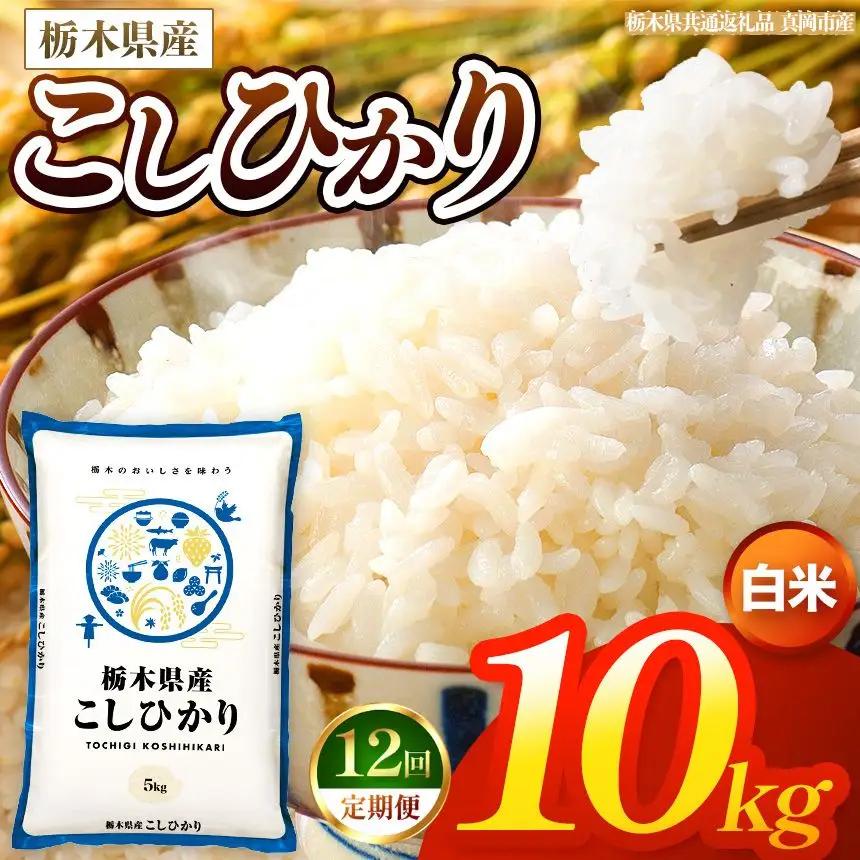 【令和8年産 新米】 【定期便12回】栃木県産 お米 こしひかり　（白米） 10kg 【2026年秋以降発送 】 |  栃木県 矢板市 【栃木県共通返礼品 真岡市産】