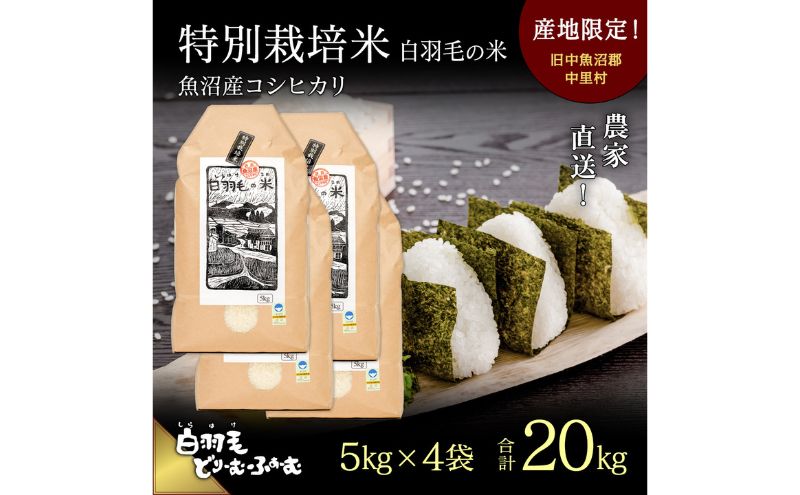 【通年受付】≪令和6年産≫　農家直送！魚沼産コシヒカリ特別栽培「白羽毛の米」精米(5kg×4袋) 20kg