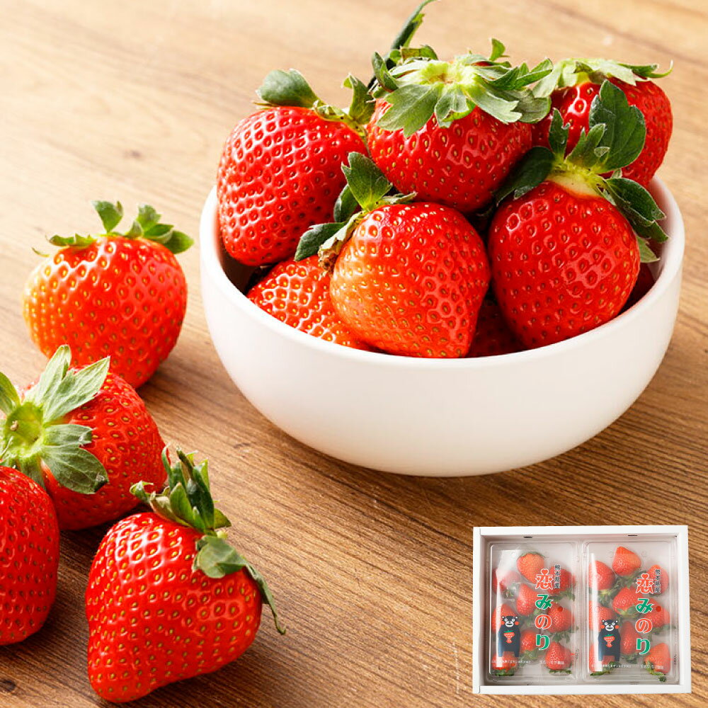 【ふるさと納税】熊本県産いちご 恋みのり 2パック 約500g 約12～22個 果物 フルーツ 苺 イチゴ 旬 冷蔵 九州 熊本県 送料無料 【2026年1月上旬発送開始】