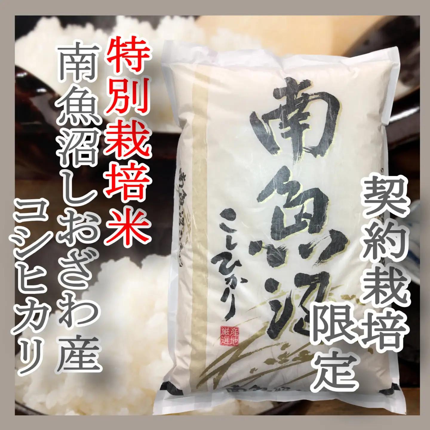 【令和7年】※定期便：5Kg×12ヶ月※特別栽培 生産者限定  南魚沼しおざわ産コシヒカリ｜こしひかり