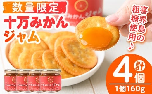 
										
										s516 ≪毎月数量限定≫十万温州みかんジャム(計4個・1個160g) 鹿児島 国産 九州産 フルーツ 柑橘 ミカン 蜜柑 調味料【田野農園】
									