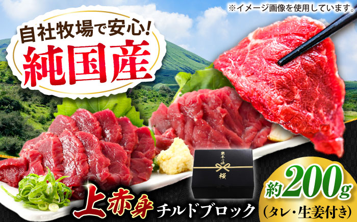 
            『純国産』熊本の味 上赤身 馬刺し 約200g ブロック チルド 冷蔵 タレ付き【有限会社 九州食肉産業】 [AYCN023]
          