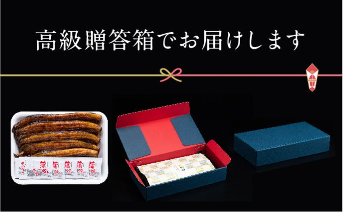 【浜名湖産】朝じめ うなぎ 溶岩焼き 蒲焼き 5尾（約140g×5尾） 土用の丑の日 丑の日