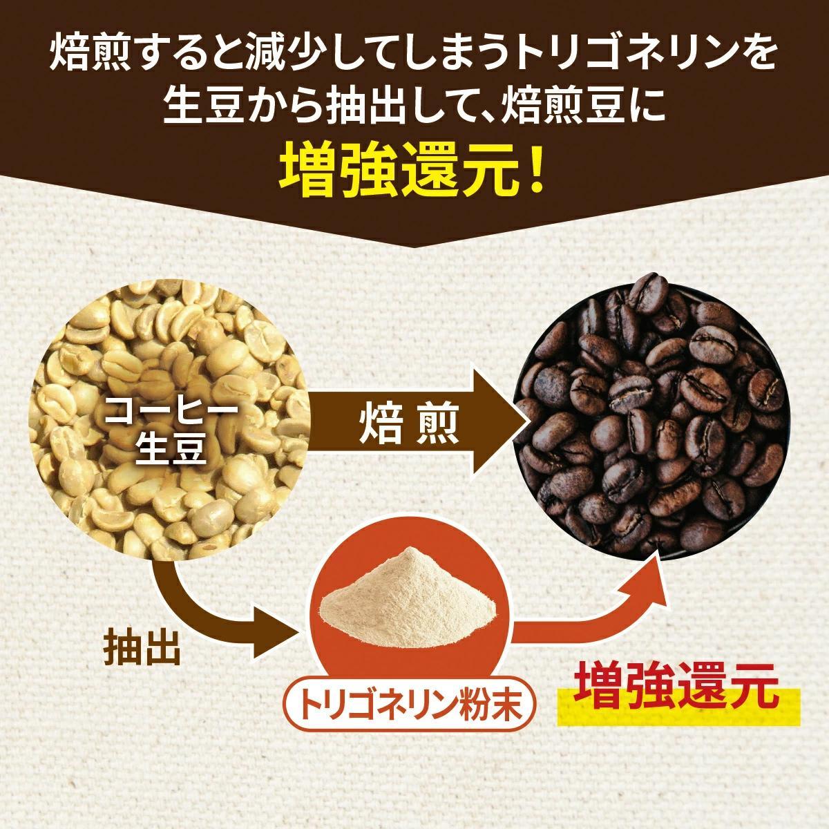 トリゴネージコーヒー スペシャルブレンド 1箱