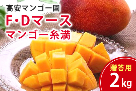 【 先行予約 2026年 発送 】 高安マンゴー園 贈答用 F・Dマースマンゴー糸満 2kg (3～6玉) 沖縄県産 マンゴー アップルマンゴー アーウィンマンゴー 完熟マンゴー 果物 くだもの フルーツ 沖縄 お取り寄せ ギフト 贈答品 産地直送 農家直送 糸満市 96-4