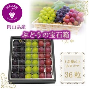 岡山　花笑み農園『ブドウの宝石箱』3種以上(36粒入り)　3M-宝36【9月中旬～発送】【配送不可地域：離島】【1629381】