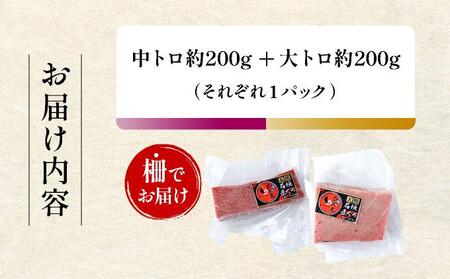 ＜寄付額改定＞石垣島産 天然本マグロ 中トロ & 大トロ 約400g ヤエスイ マグロ船直送【順次発送】 | 産地直送 大トロ 大とろ 中トロ 中とろ 国産 まぐろ 鮪 天然 赤身 魚 お刺身 本まぐ