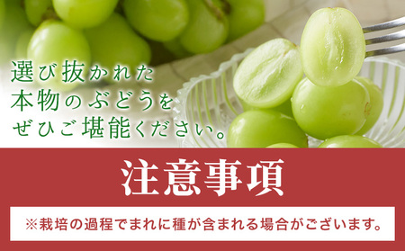 特選 シャインマスカット 1房 700g~ ぶどう マスカット フルーツ 果物 岡山県産 中嶋ぶどう園 ブドウ シャイン《9月上旬-10月下旬頃出荷》岡山県 矢掛町 送料無料 お取り寄せフルーツ
