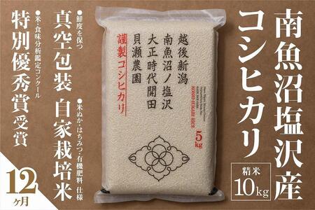 【令和7年産新米予約】【定期便】「貝瀬農園米」農薬5割減栽培　南魚沼塩沢産コシヒカリ　精米10kg(5kg×2個)×全12回【2025年10月1日より順次発送予定】