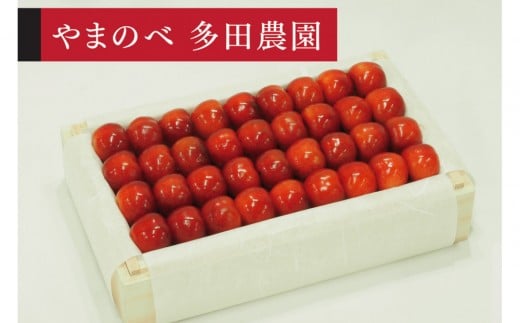 ＜先行予約＞【特選やまがた紅王】桐箱詰 約700g【やまのべ多田耕太郎のさくらんぼ 多田農園】