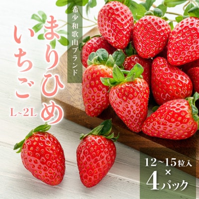先行受付　まりひめイチゴ L～2L 12粒～15粒×4パック【配送不可地域：離島】【1603375】