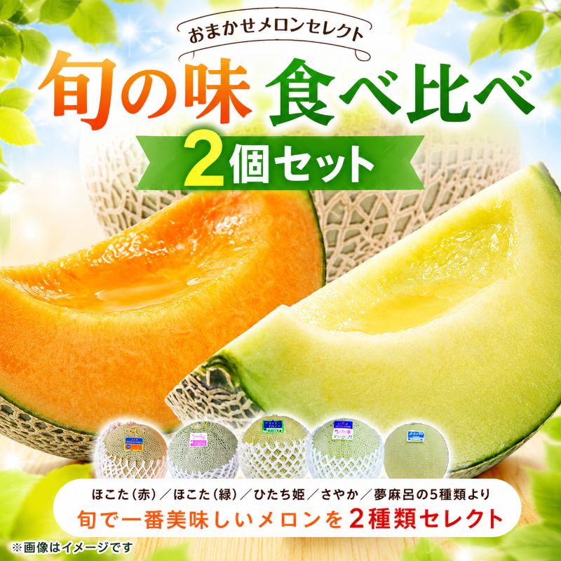 【ふるさと納税】受付終了間近！ メロン めろん 食べ比べ 2玉 おまかせメロンセレクト 旬の味 ギフト 鉾田 果物 人気 おすすめ 贈答 茨城 お返し 先行予約 スイーツ 送料無料 味 茨城県 還元率 青肉 フルーツ めろん 鉾田市 お取り寄せ 甘い メロンの森 フォレストパーク