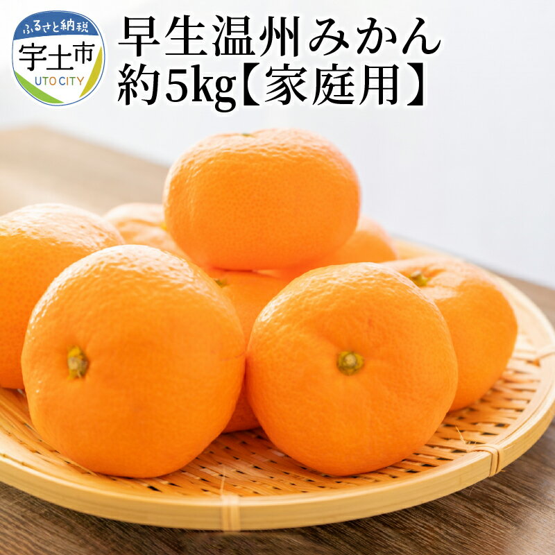 【ふるさと納税】進栄 家庭用 早生温州みかん 約5kg みかん 先行予約 国産 柑橘 果物 果実 ビタミン 旬 フルーツ ジューシー 美味しい 食品 常温 九州 お取り寄せ お取り寄せフルーツ 送料無料【熊本県宇土市】発送は11月から