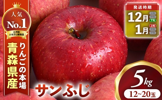 りんご【サンふじ】約5kg（12～20玉） 【2026年産・先行予約】★2026年12月下旬～1月上旬頃発送予定★ 青森県三戸町産 りんご サンふじ 2026年産 サンふじりんご 旬 甘い 青森県三戸町 AK-16-013