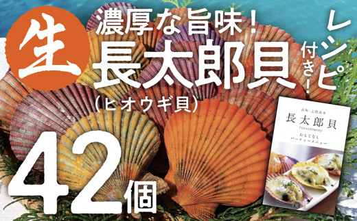 ヒオウギ貝 42個セット（ホタテの仲間）アウトドア キャンプ 海鮮BBQ 魚貝 生 貝殻付 活 貝柱 酒蒸し バーベキュー 長太郎貝【R00570】
