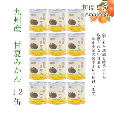 ふるさと納税 松浦市 缶詰工場直送　特選果実「旬ほとぎ」甘夏みかん12缶 |  | 01