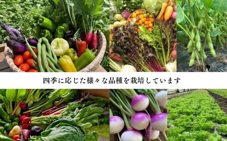 季節のオーガニック農産物（有機認証農産物）5種～ | 野菜 オーガニック