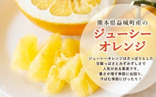 ジューシーオレンジ 約10kg 柑橘類 晩柑 熊本県産 【2026年3月上旬～4月下旬まで発送予定】