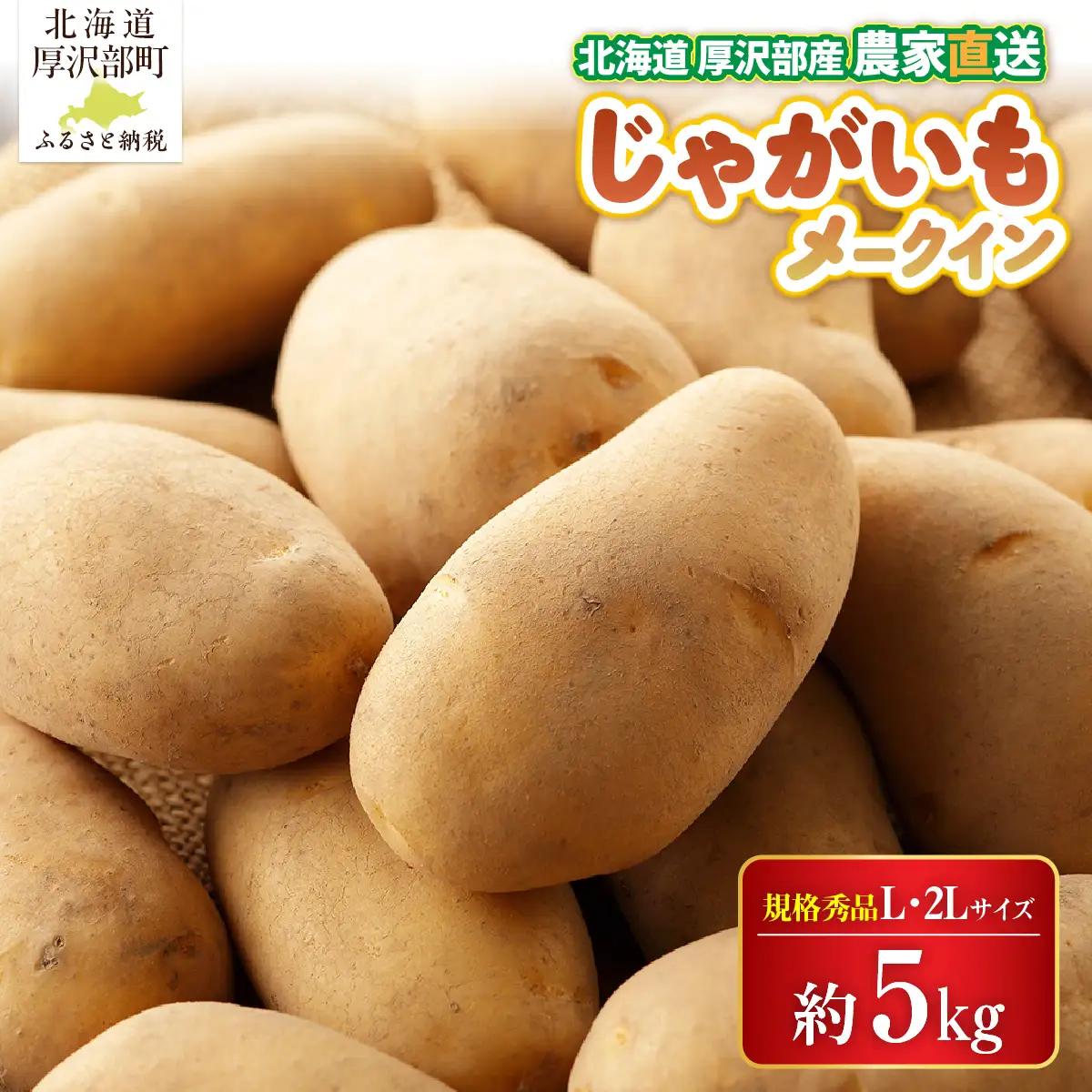 【2026年9月下旬より発送】北海道厚沢部町産 メークイン 約5kg【規格秀品L・2Lサイズ】 ASO036