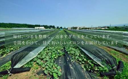 【先行予約】令和7年度産 メロン オルフェ 2玉 農園ビギン 【0002-0330-01】