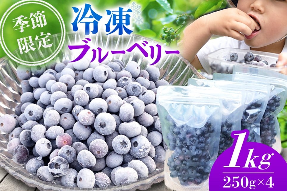 
            【季節限定】農薬・化学肥料不使用！愛情と栄養たっぷり冷凍ブルーベリー（1kg） 南小国産 冷凍 ブルーベリー 1kg 摘み立て 生 果物 新鮮 フレッシュ 小分け 農薬不使用 化学肥料不使用 産地直送 熊本 阿蘇 南小国町 送料無料
          