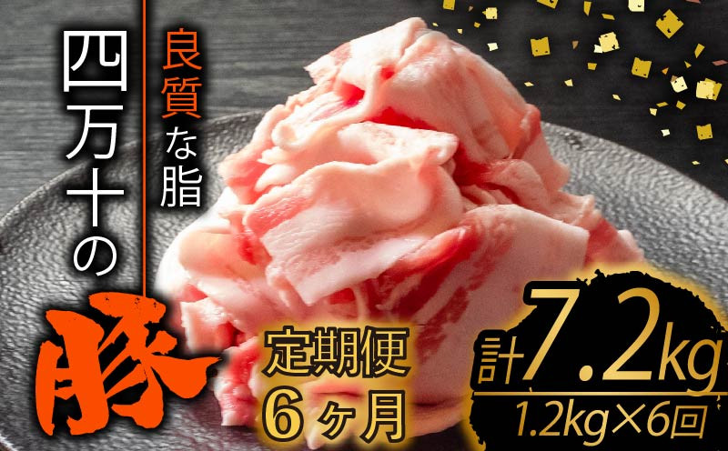 
            【定期便6回】四万十ポークスライス 計7.2kg（1.2kg×6ヶ月連続お届け) 2Fコース | 豚肉 豚バラ肉 小分け 小間切れ スライス 切り落とし 冷凍 真空パック 簡単調理 細切れ 大容量 肉 高知県 須崎市 TM34000
          