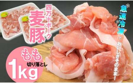 平野協同畜産の「麦豚」 豚もも切り落とし　1㎏（500g×2パック）　四万十ポーク 国産 ぶた肉 豚肉 肉 お肉 もも 国産豚肉 国産ぶた肉 冷凍 小分け 生姜焼き 豚丼／Ahc-A06