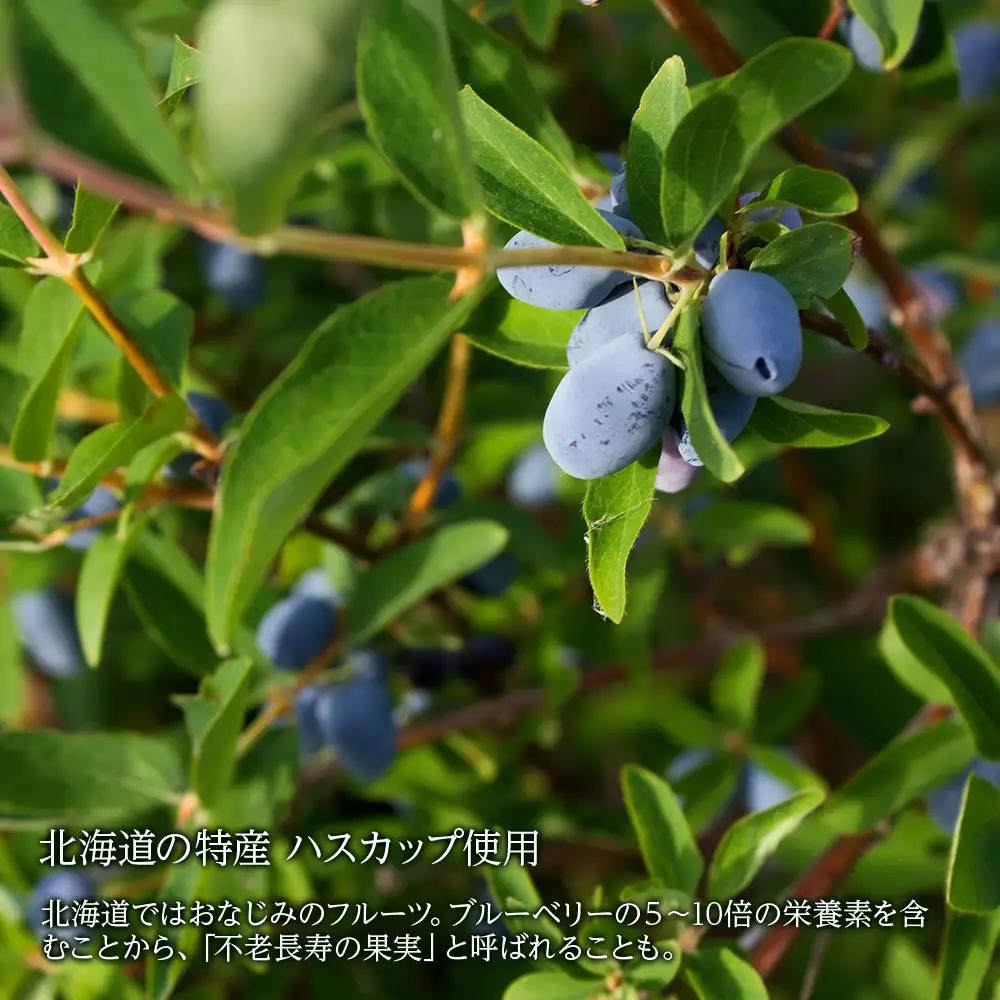 クッキー ジャム ハスカップ チョコレート 6個×2箱セット 《 北海道千歳市 もりもと》