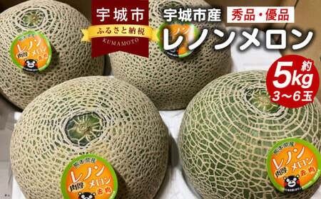 レノンメロン 約5kg（3～6玉） 秀品 優品 赤肉メロン【2025年4月下旬～5月下旬発送予定】果物 くだもの フルーツ メロン めろん