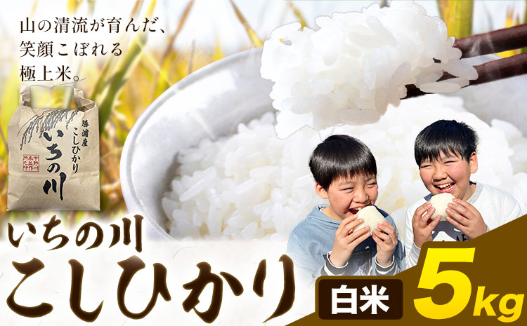 米 こめ コメ 令和7年産 いちの川 コシヒカリ 白米 5kg 市野川米製作所 《30日以内に出荷予定(土日祝除く)》米 ご飯 こしひかり
