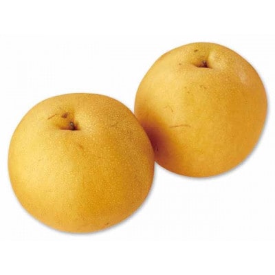 にっこり　5kg 10～12個　県内共通返礼品【配送不可地域：離島・北海道・沖縄県・中国・四国・九州】