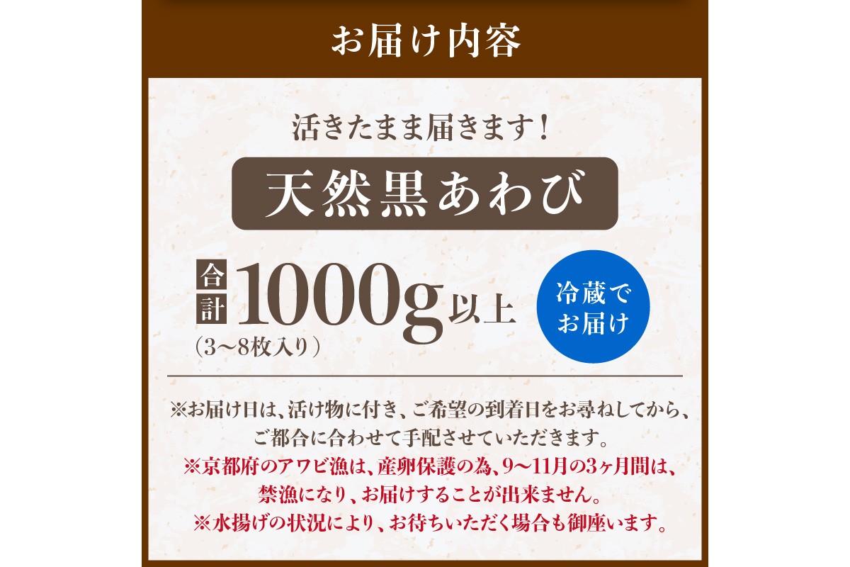 活きたまま届きます！ 天然黒アワビ 海水に酸素入りの特殊梱包 1000g入りおすすめセット