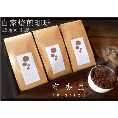 ふるさと納税 岩倉市 【いいかふぇの自家焙煎珈琲豆】有香豆(ありがとう)珈琲豆3袋セット(豆)
