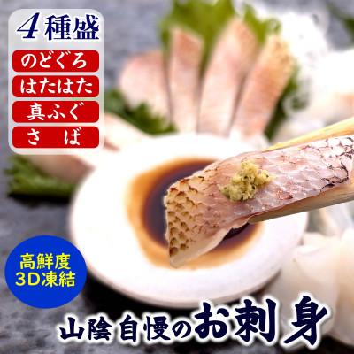 ふるさと納税 新温泉町 山陰のお刺身魚4点詰合(生サバ,ノドグロ,ハタハタ,フグ4種)高級魚　赤睦　ふぐたたき　とろはたはた