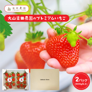 大山楽田農園のA品スタンダードいちごプランB