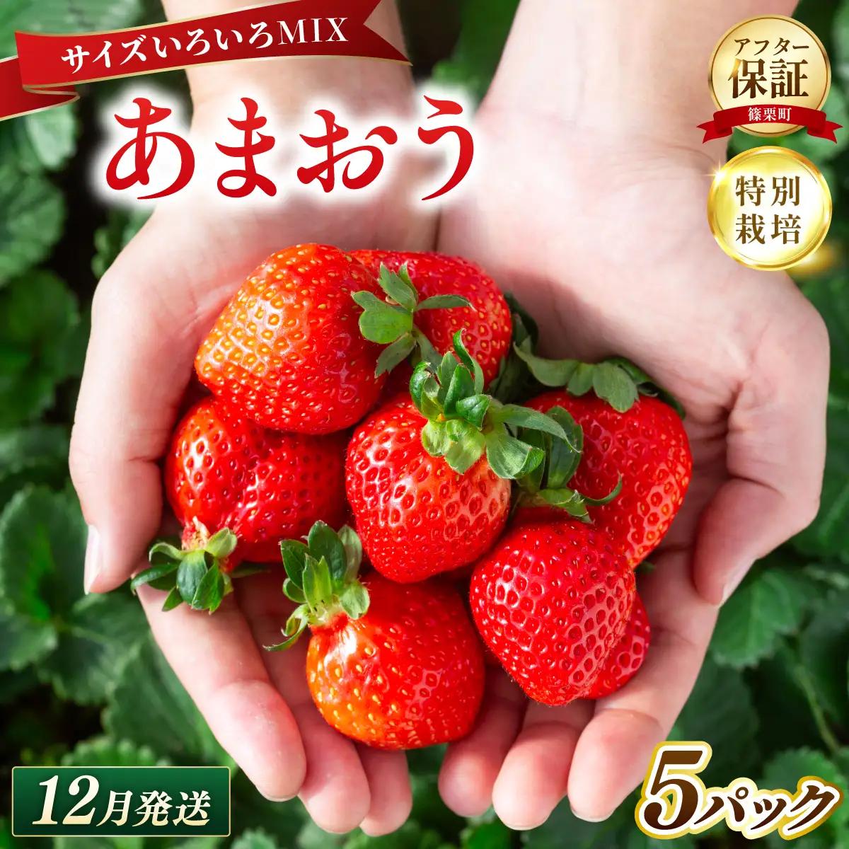 いちご 福岡県産 特別栽培 あまおう サイズいろいろMIX 約1425g（約285g×5パック）【12月発送】