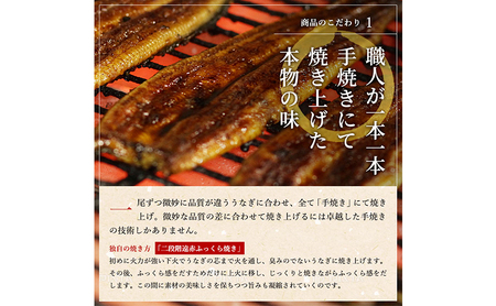 定期便6回【食べきりサイズ】ITI優秀味覚賞受賞】長蒲焼2尾セット【配送不可：離島】