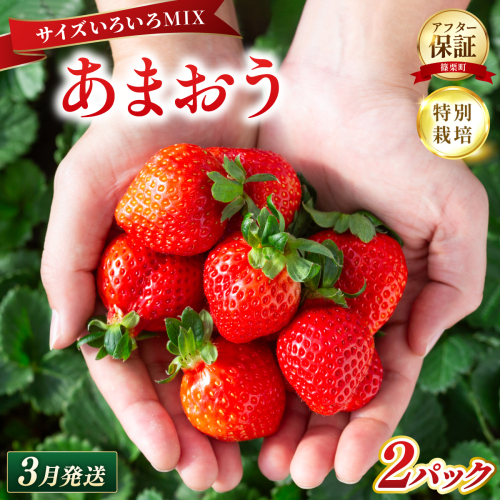 いちご 福岡県産 特別栽培 あまおう サイズいろいろMIX 約570g（約285g×2パック）【3月発送】　農園直送 アフター保証 先行予約 福岡産 送料無料 ケーキ ギフト お祝い 限定 季節限定 UN006