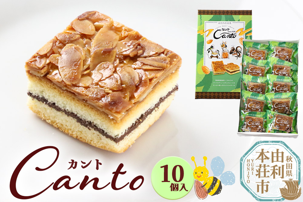 カント 10個入り キャラメルケーキ スイーツ ケーキ クーベルチュール チョコレート 10ケ入 10コ入 箱入|08_tkh-031001