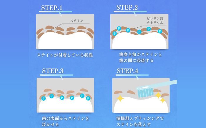 口腔内のトラブル予防に！！セルフリッシュホワイト プラセンタ配合 薬用ホワイトニング歯磨き粉　3本（各120g）はみがきこ 歯みがき粉 口腔ケア 愛媛県大洲市/Gross Mountain合同会社 [