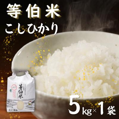 ふるさと納税 七尾市 【令和8年産】等伯米コシヒカリ5kg (5kg×1袋)