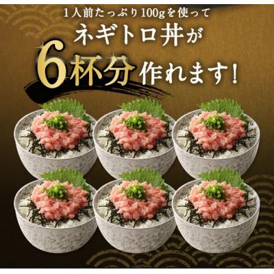 ふるさと納税 室戸市 ねぎとろ(まぐろのたたき) 小分けセット ネギトロ丼や海鮮丼などアレンジさまざま |  | 02