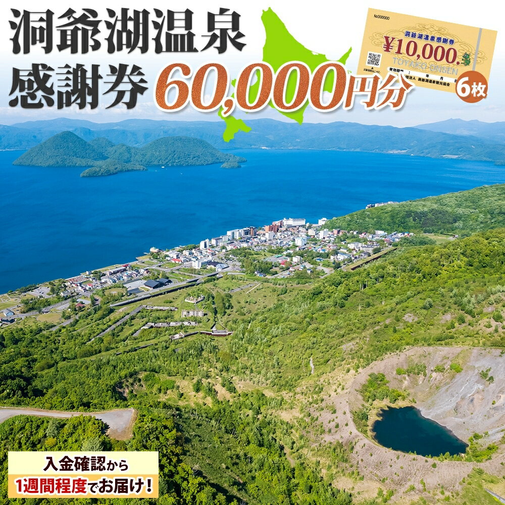 【ふるさと納税】〈選べる金額〉洞爺湖温泉感謝券 3000円分～ 金券 クーポン 洞爺湖 湖 温泉 リゾート 有珠山 火山 自然 花火 イルミネーション 旅行 観光 宿泊 施設 北海道
