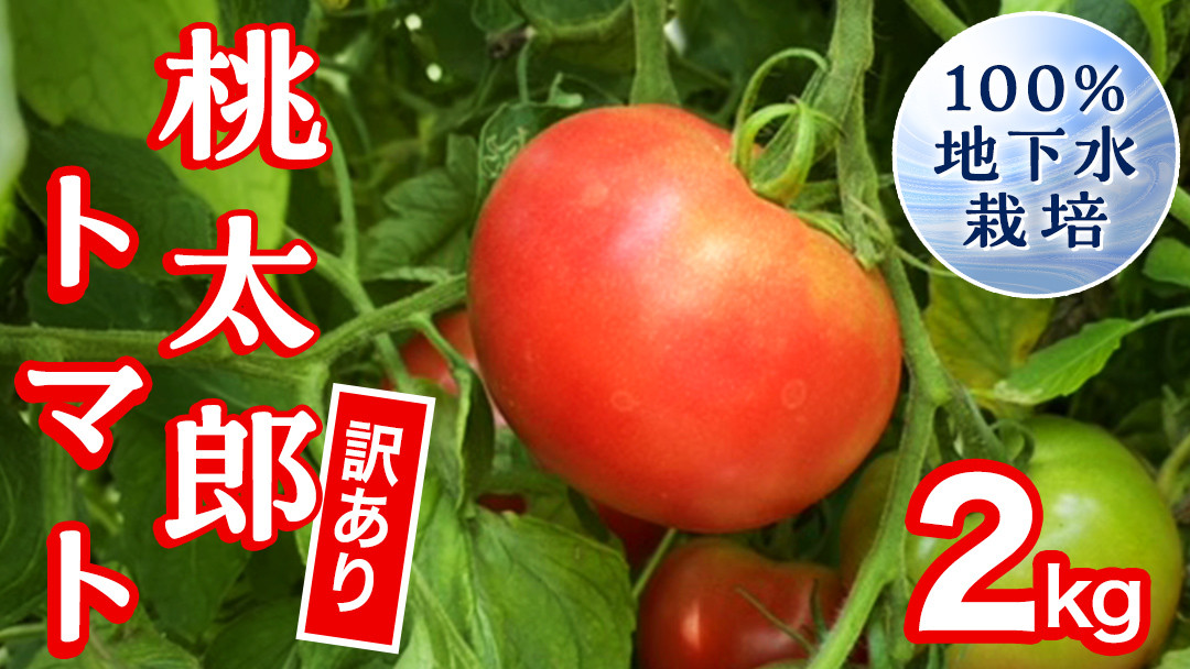 
            【 訳あり 】 地下水100％で作る美味しい 「 桃太郎トマト 」 2kg 野菜 桃太郎 トマト とまと 地下水 ミネラル [DU009ci]
          
