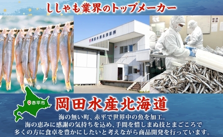 ソフトタイプ鮭とば「北海道産 鮭燻ソフト」600g(200g×3袋)  加工食品 魚貝類 海鮮食品 とば 鮭 サーモン 晩酌 おつまみ つまみ アテ 酒の肴 おやつ 乾き物 珍味 北海道 赤平市