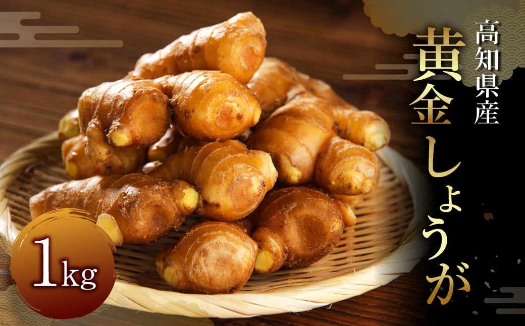 
            黄金しょうが 約1kg 国産 生姜 しょうが ショウガ 高知県産
          