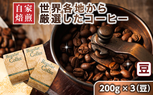 ベンデドール 自家焙煎 珈琲豆 店主おまかせ プレミアム コーヒーセット 200g×3個 【豆】