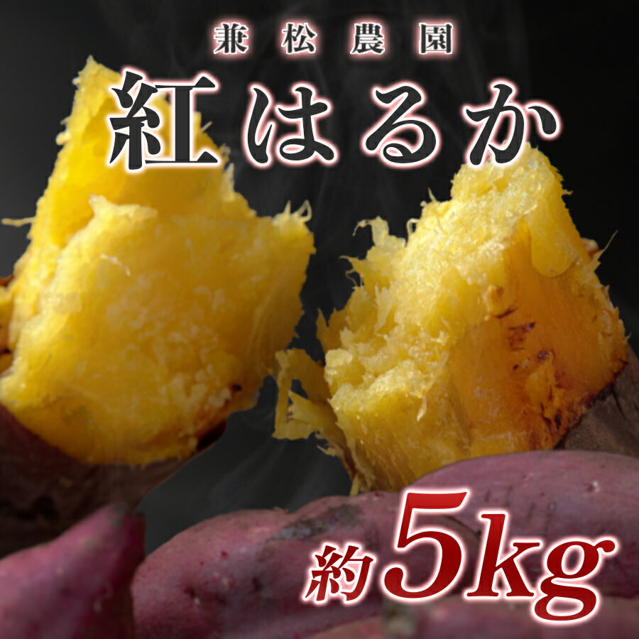 【ふるさと納税】【高知県 大月町産】兼松農園　紅はるか　5kg　さつまいも 高知県産 焼き芋 甘い 糖度高い 熟成 無農薬 産地直送 芋 旬の野菜 秋の味覚 野菜 高糖度 濃厚 甘い 国産 焼くだけ 簡単 スイーツ 美味しい 高知県大月町産 季節限定 期間限定