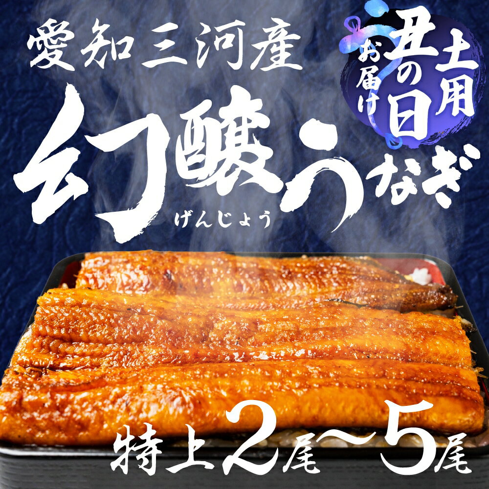 【ふるさと納税】愛知県三河産　幻醸うなぎ　蒲焼き 2尾～5尾 選べる 国産うなぎ 鰻 タレ付 セット 厳選 ウナギ かば焼き 丑の日 高級 贅沢 ご褒美 特産品 ふっくら お取り寄せ うな重 うな丼 ひつまぶし 冷凍 内祝い お中元 お歳暮 愛知県 豊橋市 丑の日 土用の丑の日